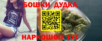 дживик Майкоп