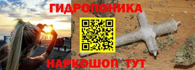 тгк Канаш