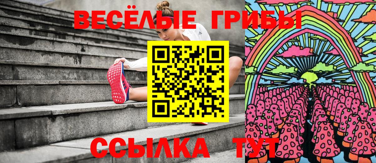 Псилоцибиновые грибы Psilocybine cubensis Керчь